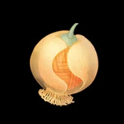 Woolfruit