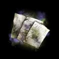 Lignera Note