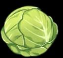 Cabbage, a gift Ollie likes