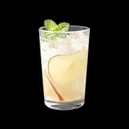 Apple Soda (Dish)