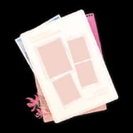 Archive Flametail Paper II (Journal Paper)