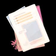 Archive Flametail Paper IV (Journal Paper)