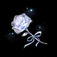 Auditorium Rose