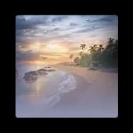 Background: Coconut Bay