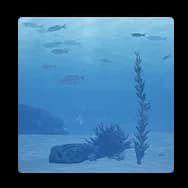 Background: Seabed Splendor