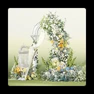 Background: Verdant Promise