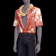 Beach Blaze (Clothes)