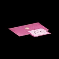 Binding Promise (Desk Item)