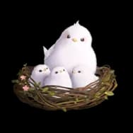 Birdie Chorus