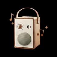 Bizarre Speaker