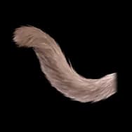 Bunny Kitty: Dark Tail
