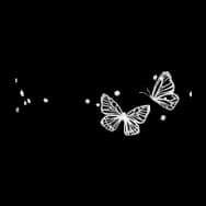 Butterfly Waves (Facial)