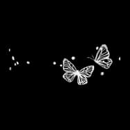 Butterfly Waves