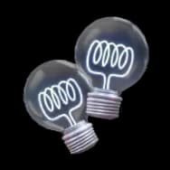 Buzzing Bulbs