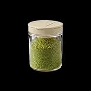 Chicory Powder