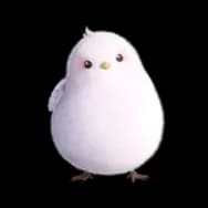 Chirping Birdie