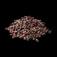 Cocoa Nibs