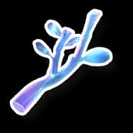 Crystallized Branch