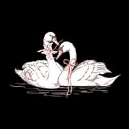 Dear Years: Swan (Sticker)