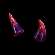 Demon Horns (Headwear)