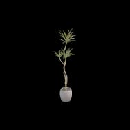 Dewdrop Branch (Home Item)