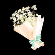 Dried Bouquet