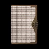Elegant Velvet Plaid (Journal Style)