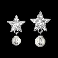 Enduring Radiance (Earrings)