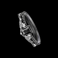 Entwined Night (Ring)