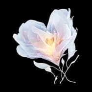 Eternal Kahli Flower (Sticker)
