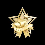 Excellence Medal