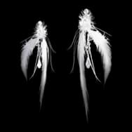 Feather Whisper (Earrings)