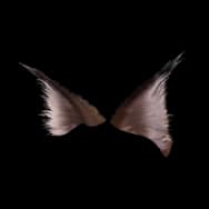 Fiendish Kitty: Dark Ears