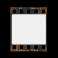 Film: Portrait