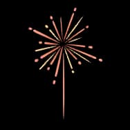 Firework Moment (Sticker)