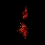 Flaming Flourish (Headwear)