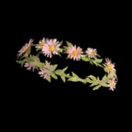 Floral Melodies