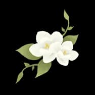 Floral Whirlwind (Sticker)
