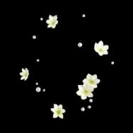 Flower Sprinkles (Headwear)