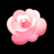 Flower (Until Twilight)
