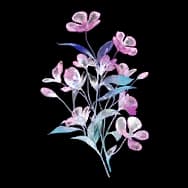 Flowering Vinelet (Sticker)