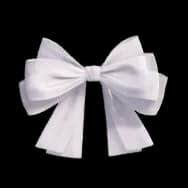 Flowing Silver Bow