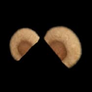 Fluffy Bear Ears