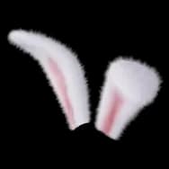 Fluffy Bunny