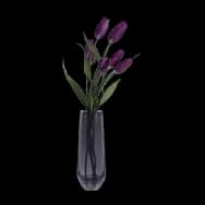 Fragrant Tulip: Purple