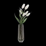 Fragrant Tulip: White
