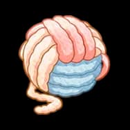 Giant Yarn Ball