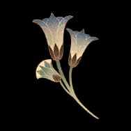 Gilded Bloom (Sticker)