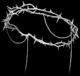 Glory of Thorns