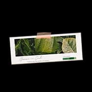 Green Postcard